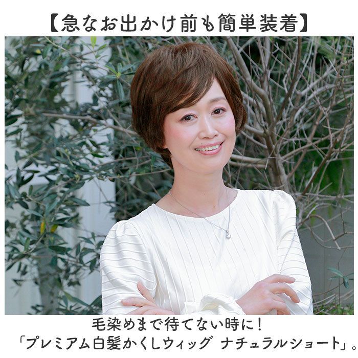 ポイントウィッグ 部分ウィッグ
