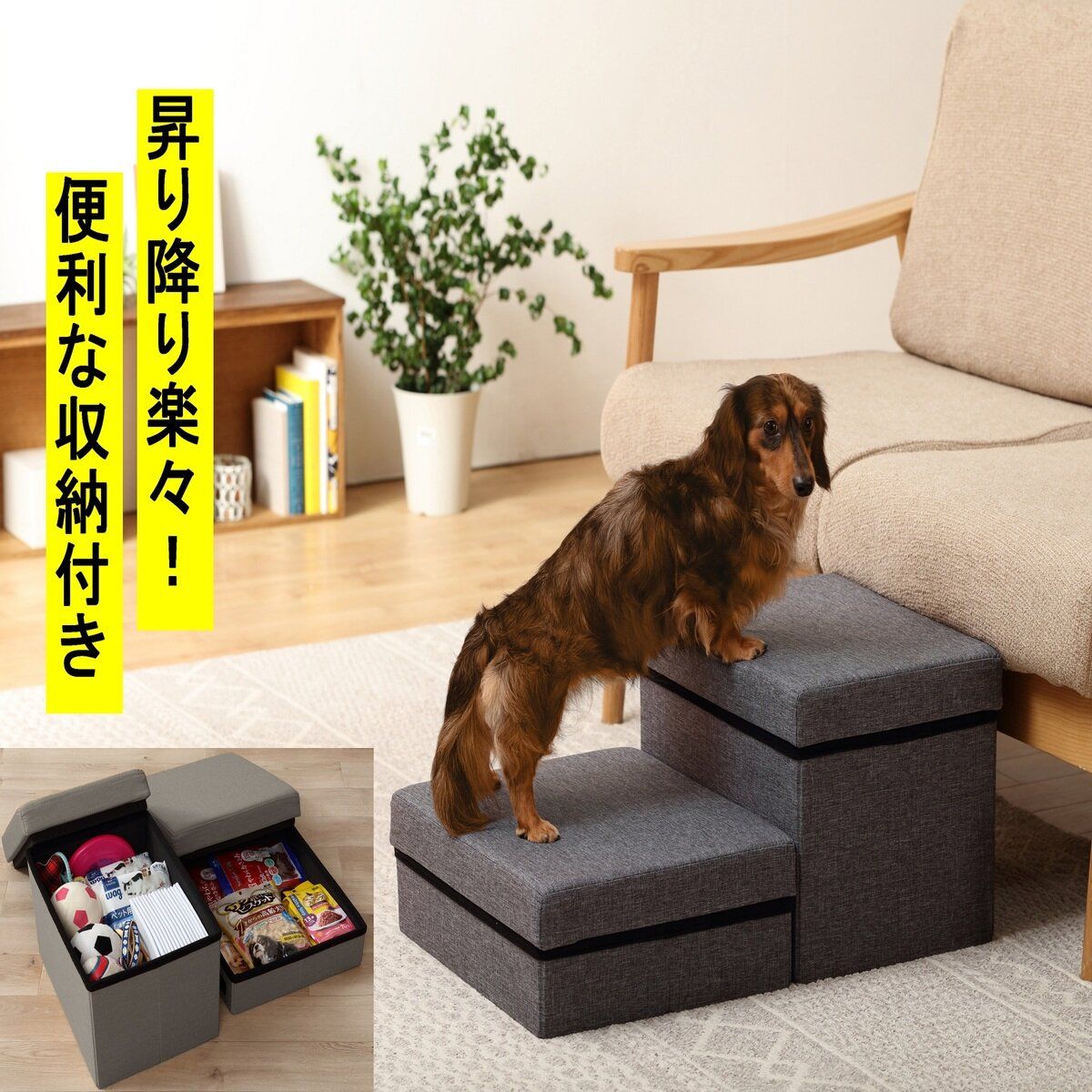 ステップ