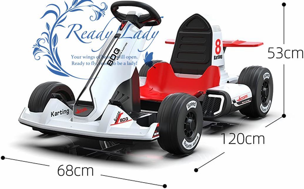 電動ゴーカート販売 大人用カート ドリフトカート屋外レース