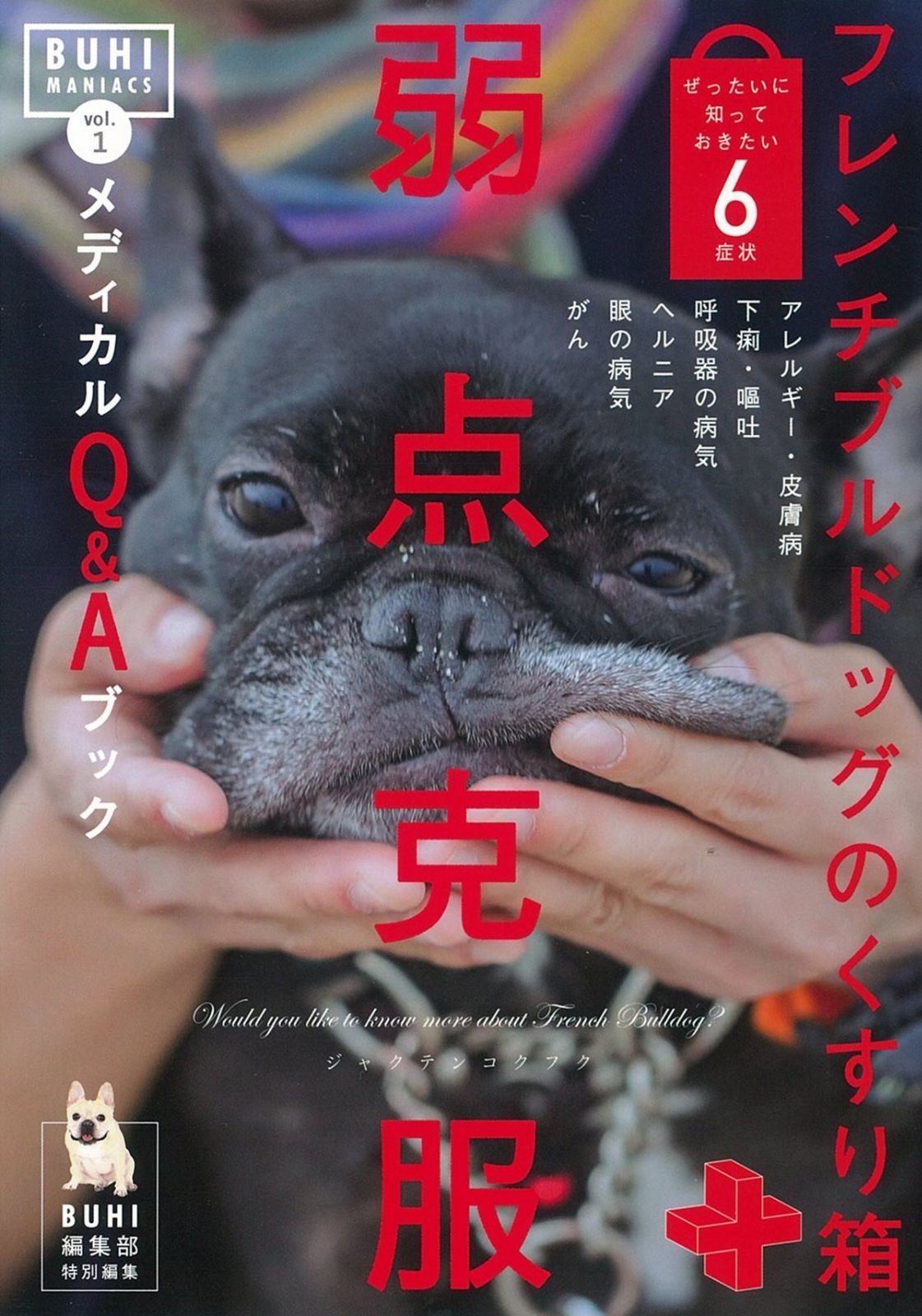 BUHI 雑誌 vol.1〜65 フレンチブルドッグ BUHI（ブヒ）｜定期購読8%OFF