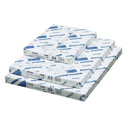 レーザープリンタ用紙 コート紙 ２５０枚×４包 Ａ３LPCCTA3 エプソン