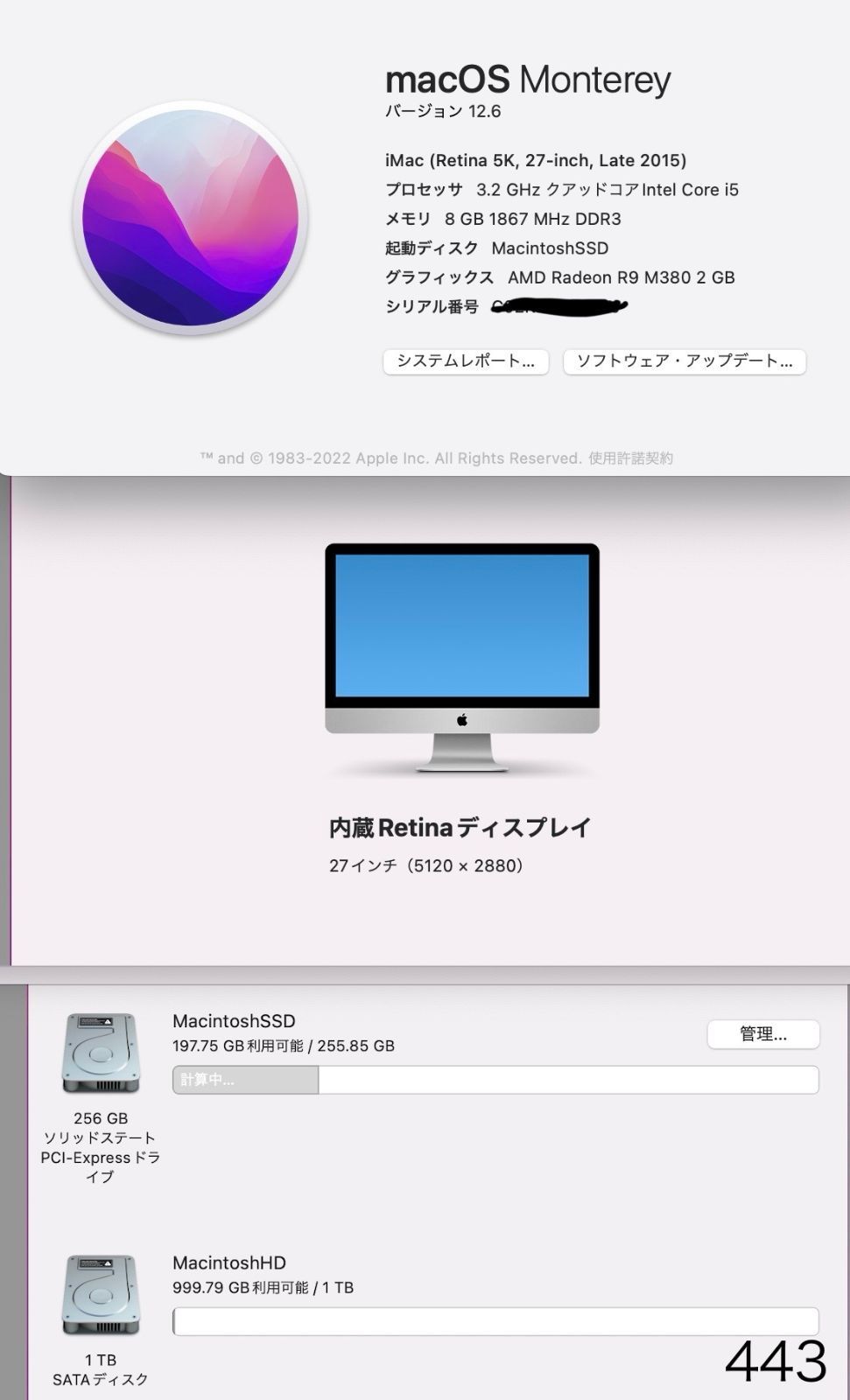⭕️iMac (Retina 5K, 27インチ, 2015)訳あり 訳あり］iMac Retina 5K, 27-inch, Late 2015/Core i5 3.2GHz/8GB