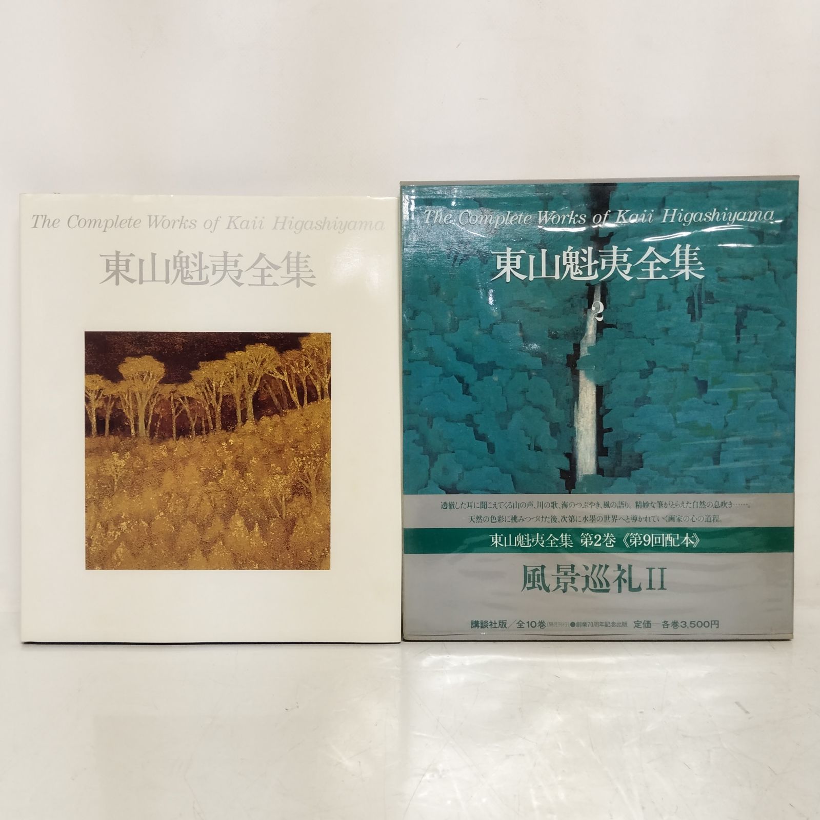 東山魁夷全集 全10巻 帯あり /HM-0029 - メルカリ