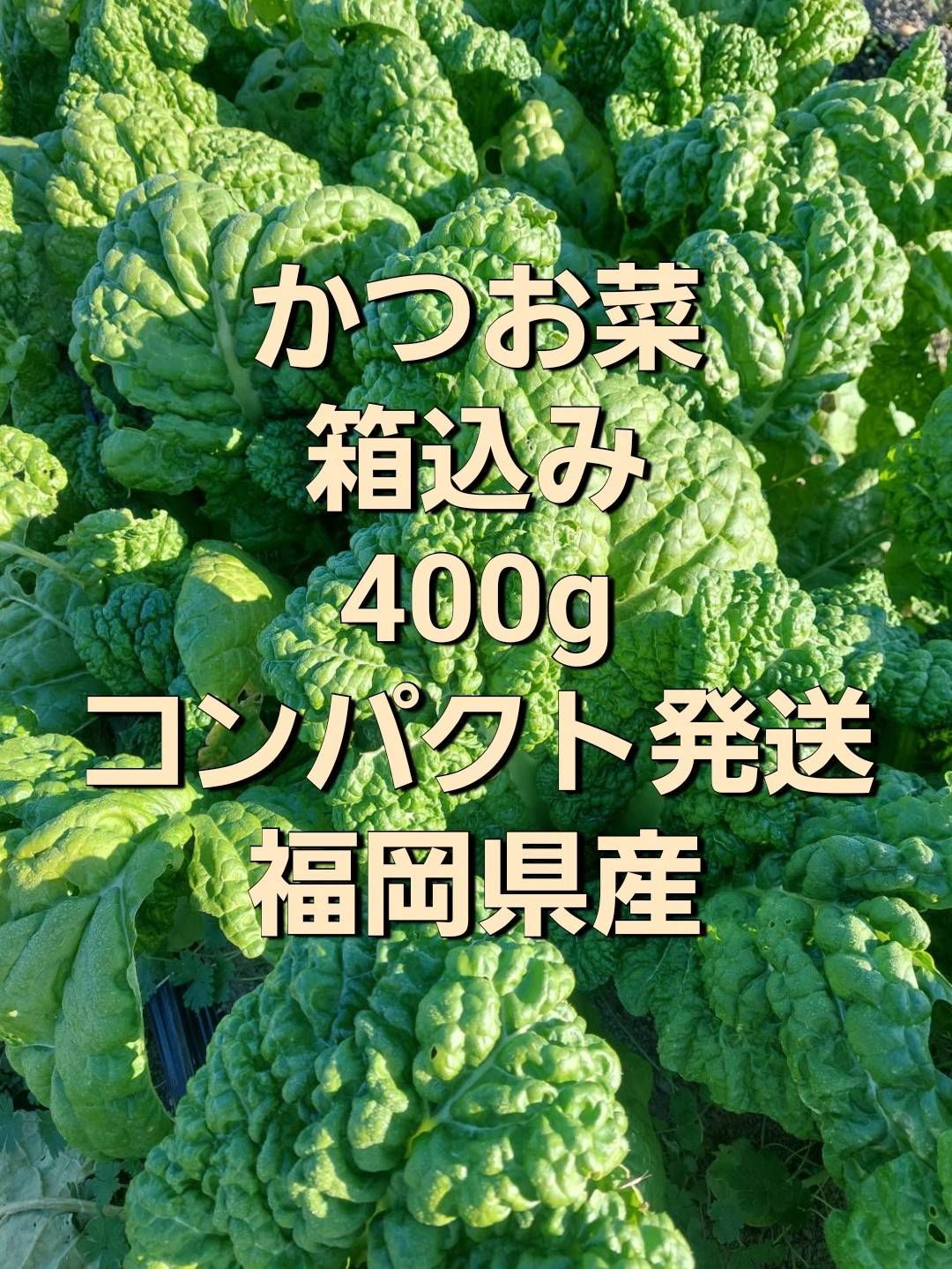 かつお菜400g(箱込み)