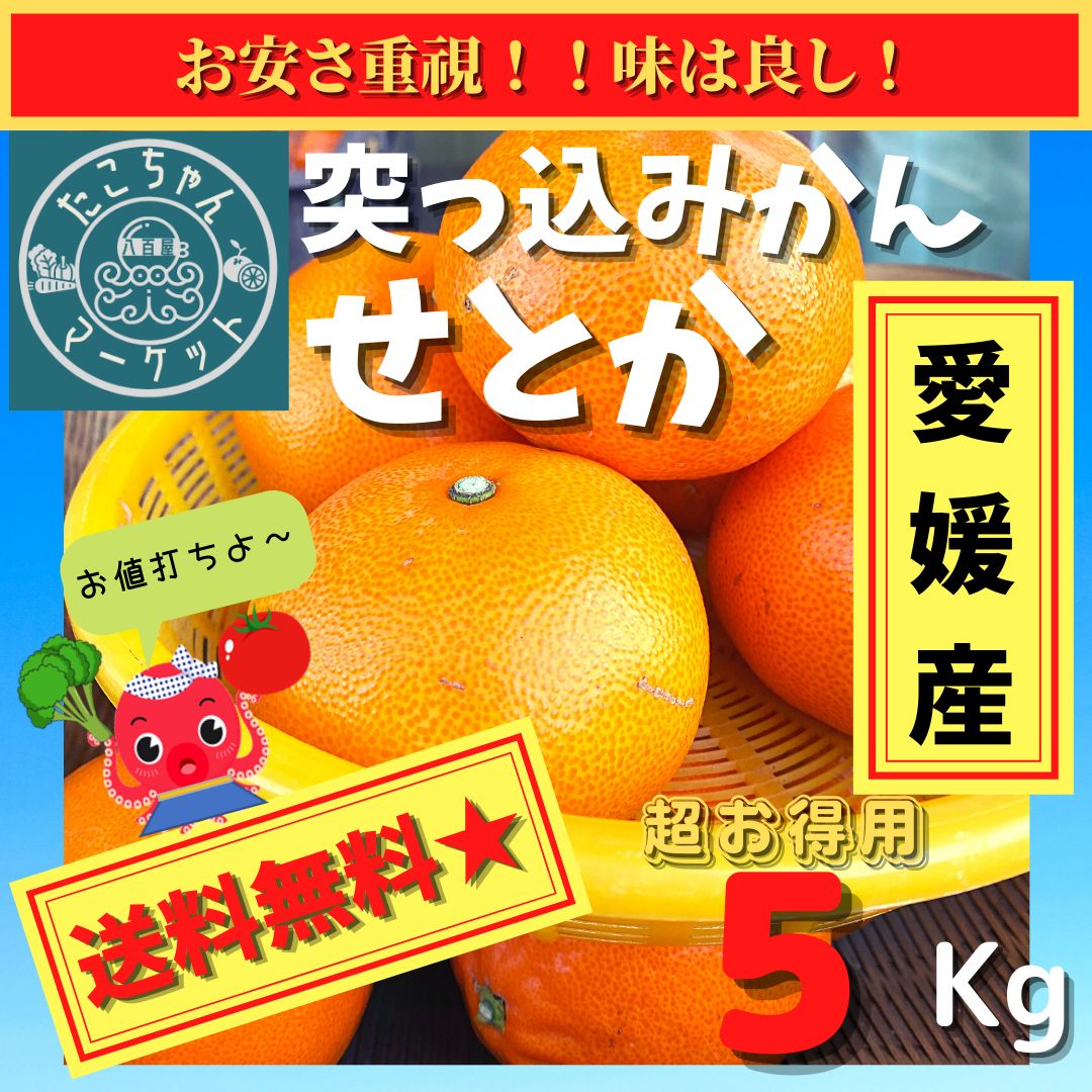 小玉はとっても甘いよ☆突っ込みかん】愛媛県産 せとか 5kg Ｓ～3L