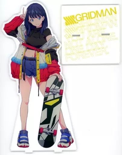 アクリルスタンド アクリルパネル 宝多六花 スケボーver. 特大アクリルスタンド SSSS.GRIDMAN×ヴィレッジヴァンガード