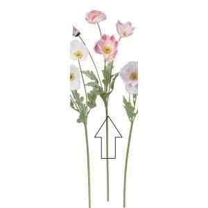 3営業日で発送 アスカ Asca ポピー×3 つぼみ×1 A-35140-003W 入数 24