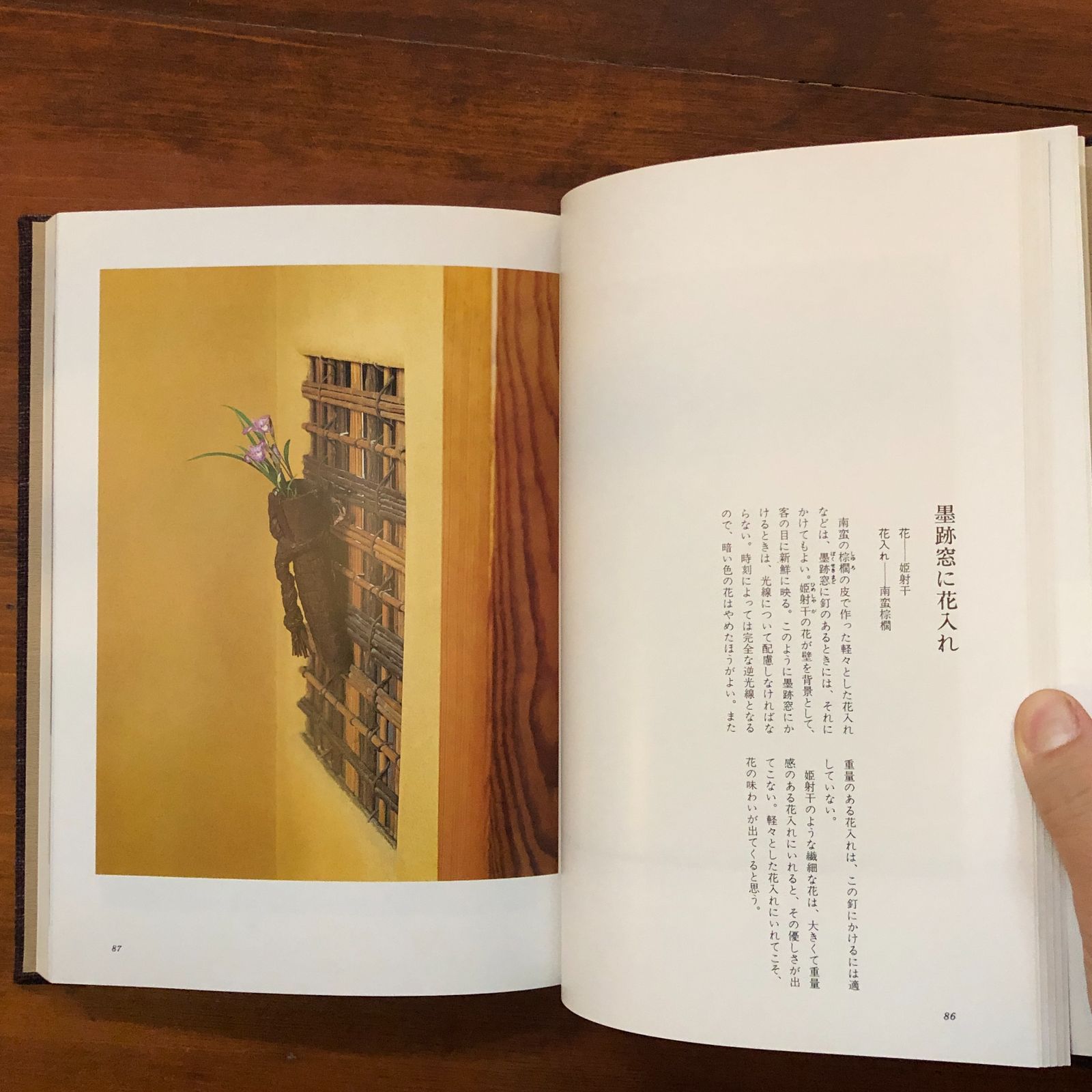 茶花入門 1979.8 田中仙翁 著 271p 主婦の友社 27cm ☆茶道 茶の湯