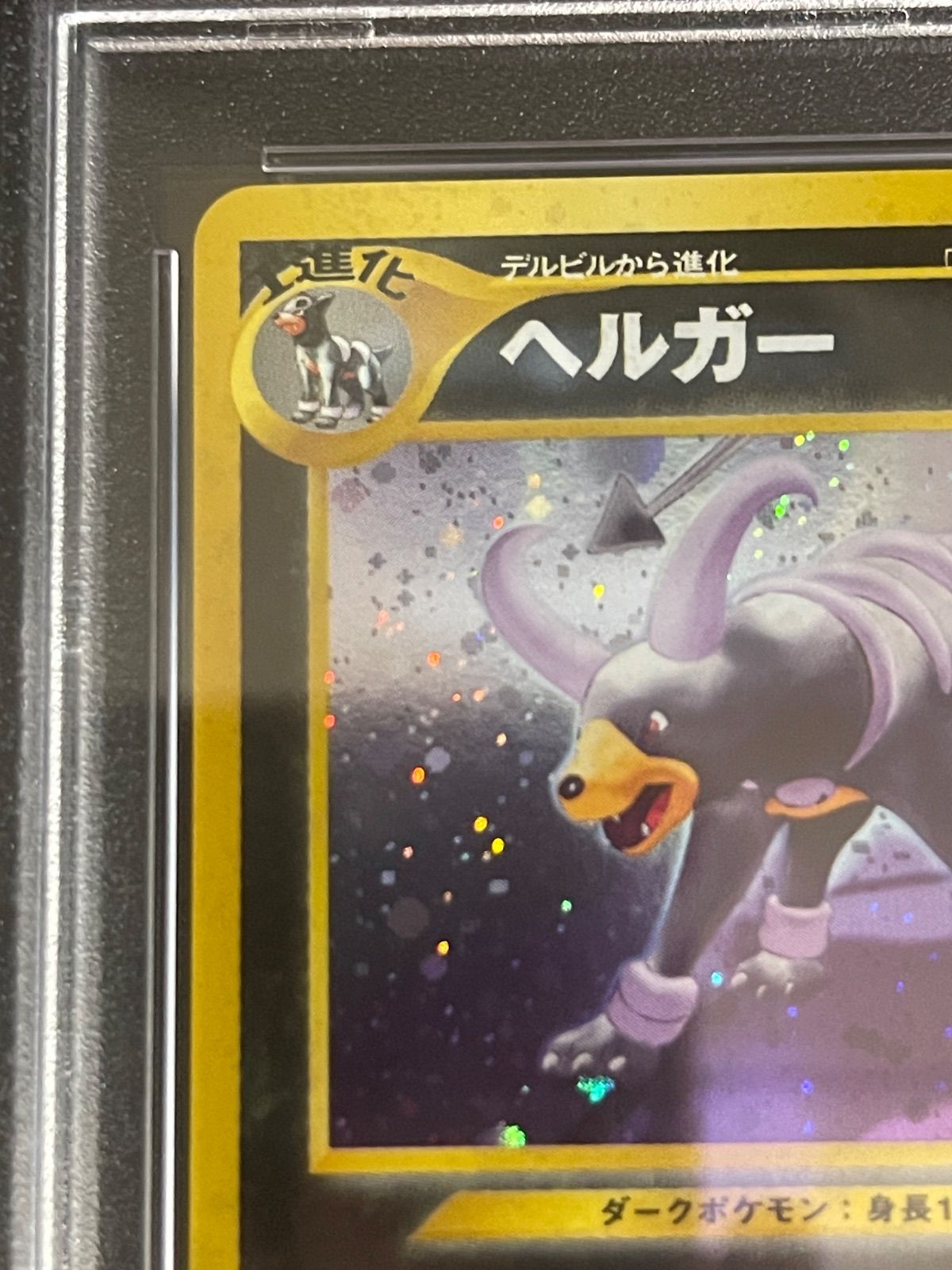 neo229ヘルガー neo229ヘルガー neo229ヘルガー ヘルガー｜ポケモン図鑑SV