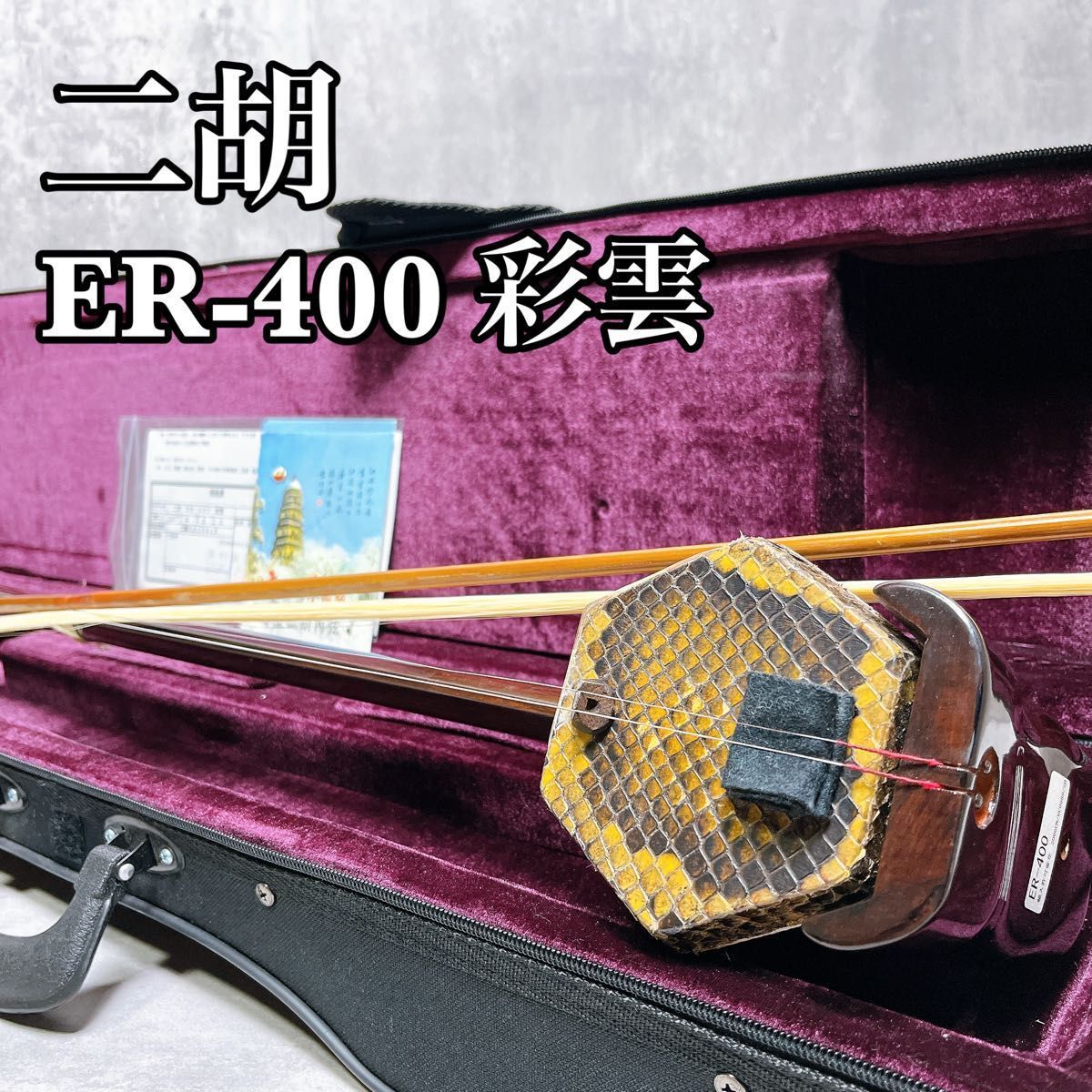 二胡 彩雲 蛇皮 ER-400 琴弦 セミハードケース付 弦楽器