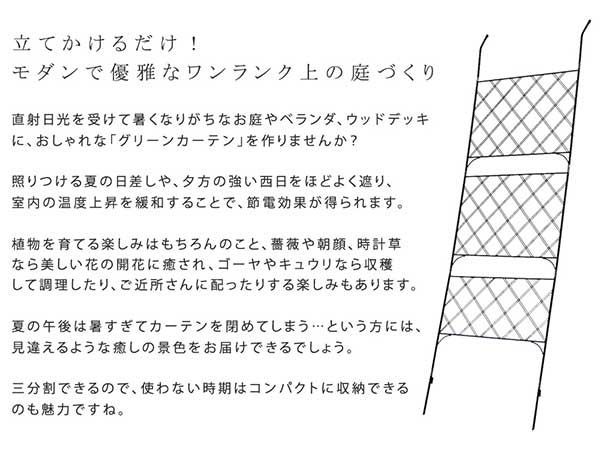 グリーンカーテン アイアン製グリーンフェンス 立て掛けるだけ 地面に刺して固定も 幅80 cm 高さ245.5 立て掛け時高さ目安210 cm～236 アーガイル フェンス ゴーヤ 薔薇 朝顔 庭 ベランダ ガーデニング 枠 柵 仕切り ア 即納対応 緑のある生活