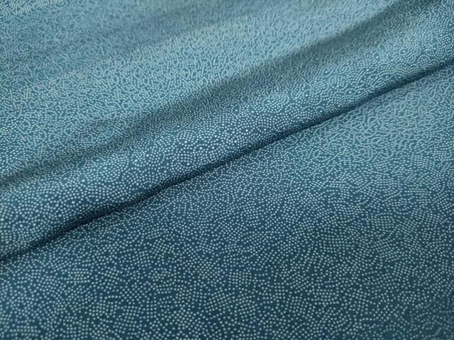 平和屋着物○江戸小紋 作家物 伊勢型文様 百柄 反端付き 正絹 逸品