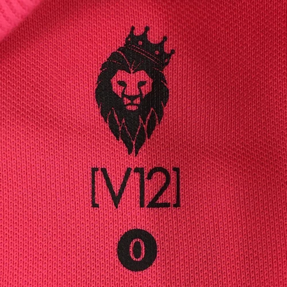 V12