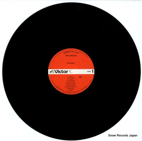 THE BIRTHDAY／ SUN BURST チバユウスケ LP盤 アナログ盤 レコード