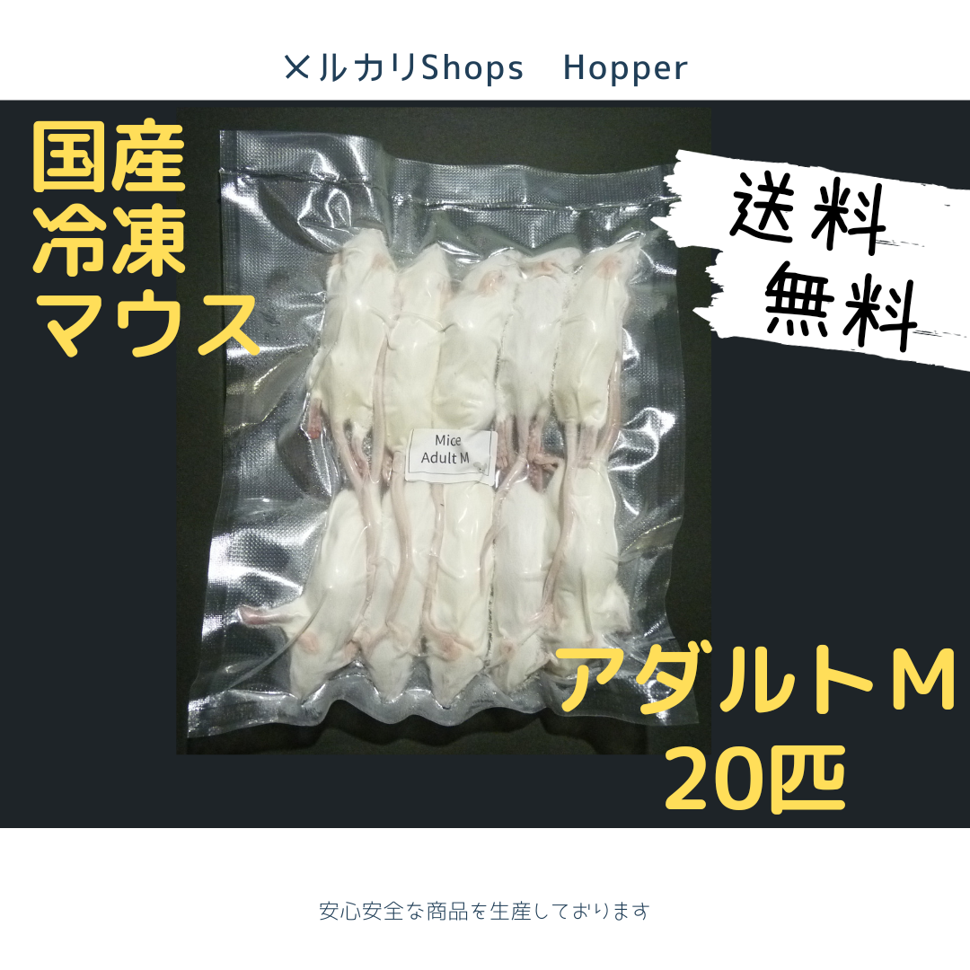 国産冷凍マウス ホッパー 20匹 (地域限定送料無料) | thepaymentpeople