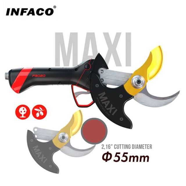 本体別売