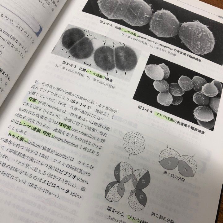 戸田新細菌学 裁断済 戸田新細菌学 改訂35版 健康・医学