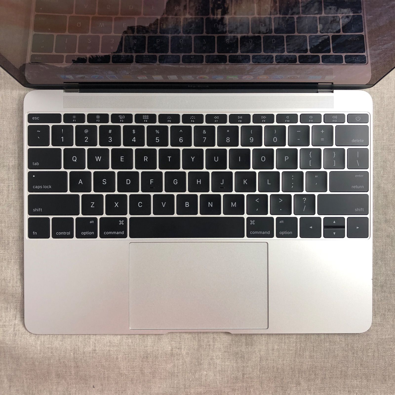 ◇ジャンク品◇MacBook (Retina, 12-inch, Early 2015) 512GB【A1534