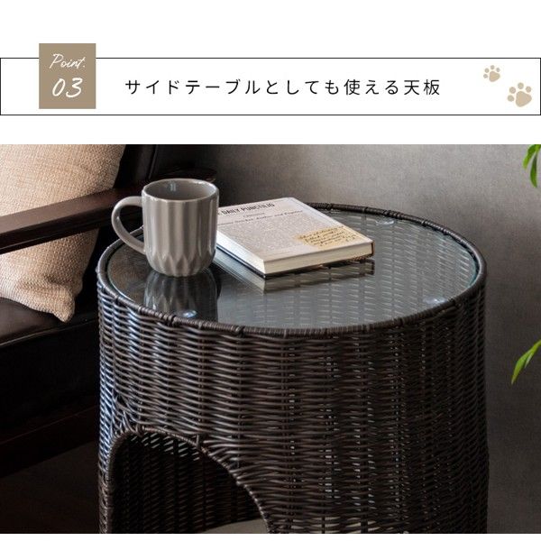 樹脂