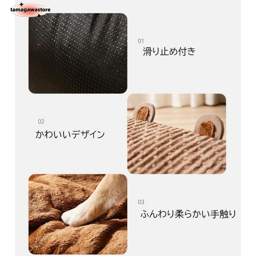 2XL猫