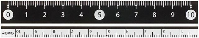 まとめ レイメイ藤井 見やすい白黒定規 10cm ブラック APJ128B ×100セット
