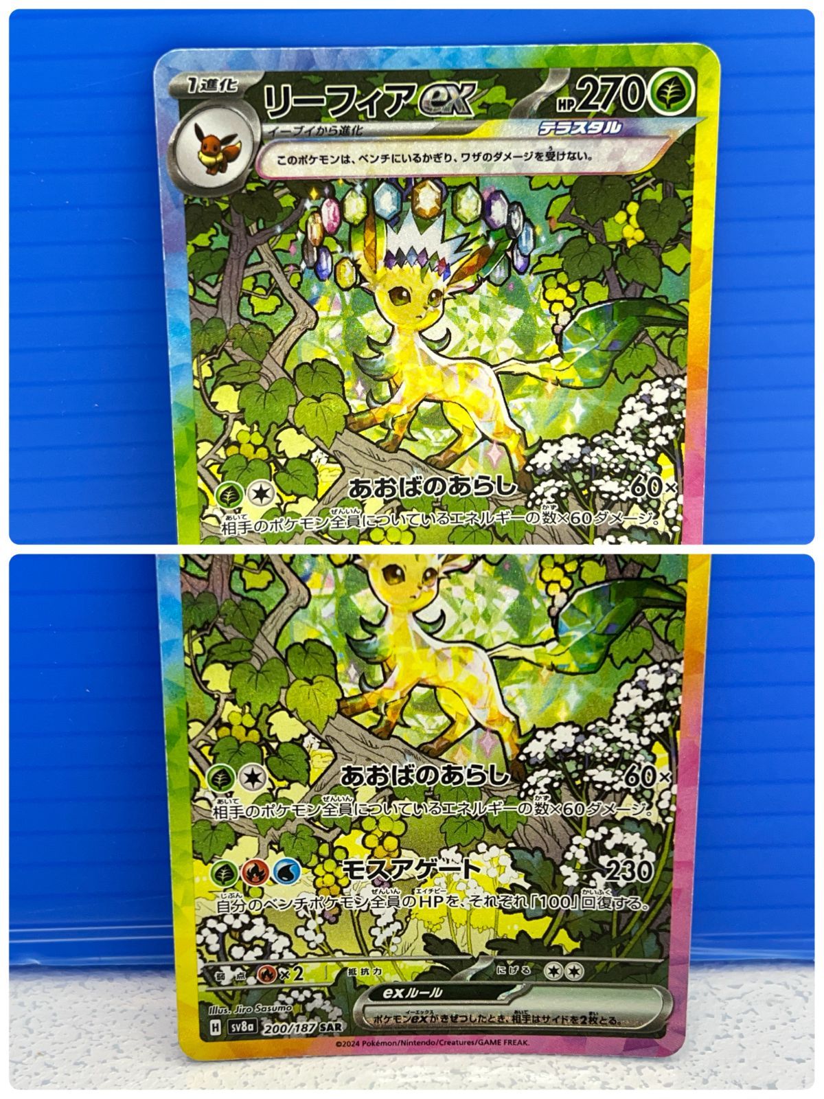 ポケカ　リーフィアex SAR SV8a テラスタルフェス！その他！色々！ リーフィアex SAR SV8a テラスタルフェスex 200/187
