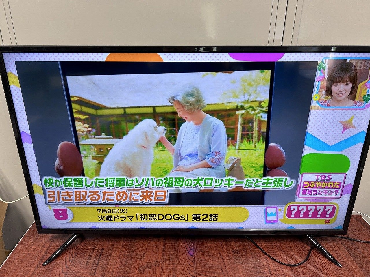 マクスゼン　50型フルハイビジョン液晶テレビ　J50CH06 J50CH06｜maxzen（マクスゼン）