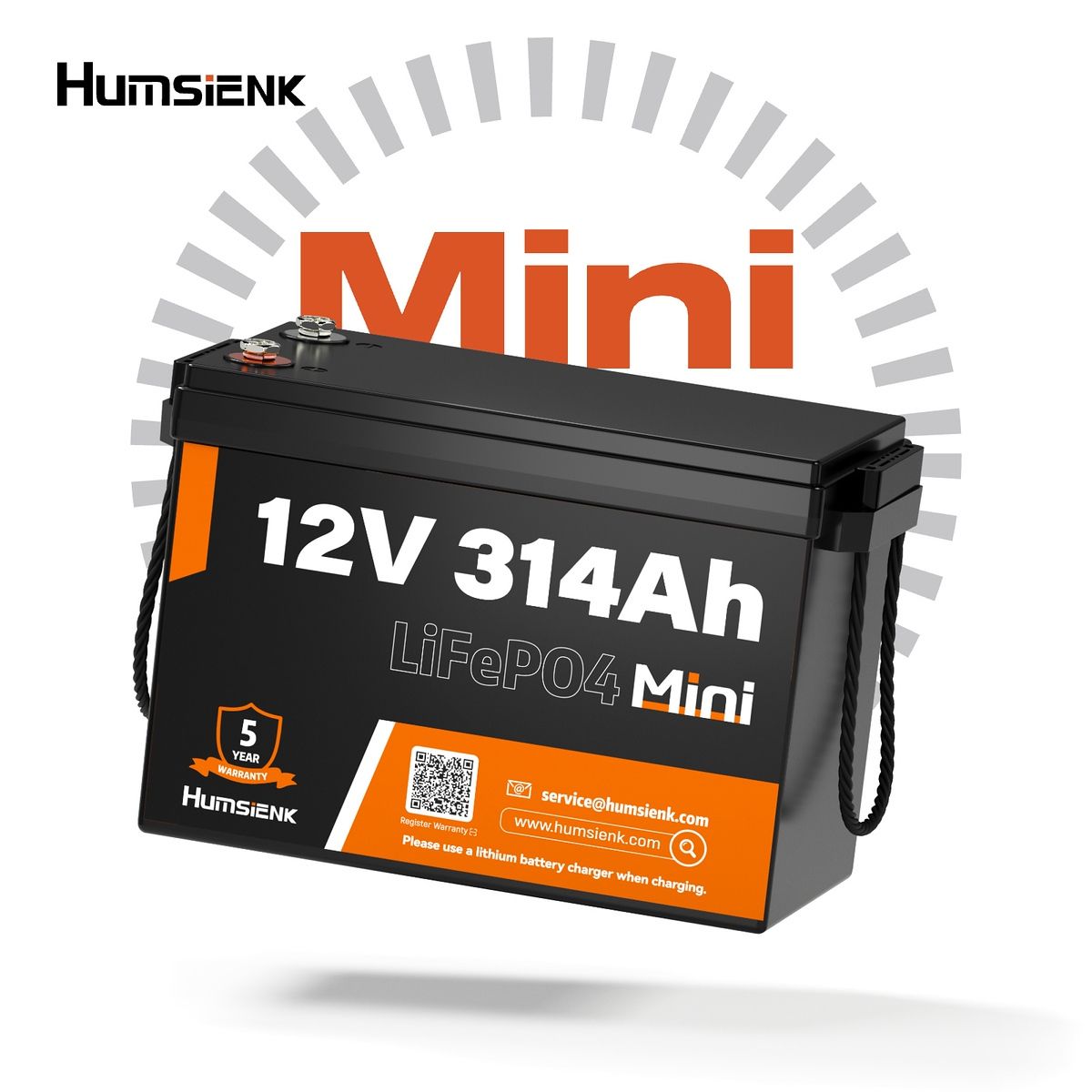 12V
