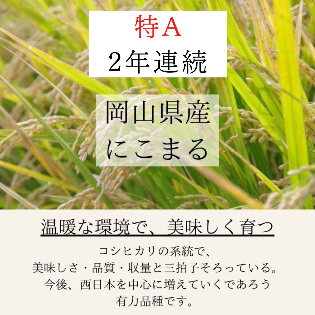 人気急上昇 米20kgにこまる