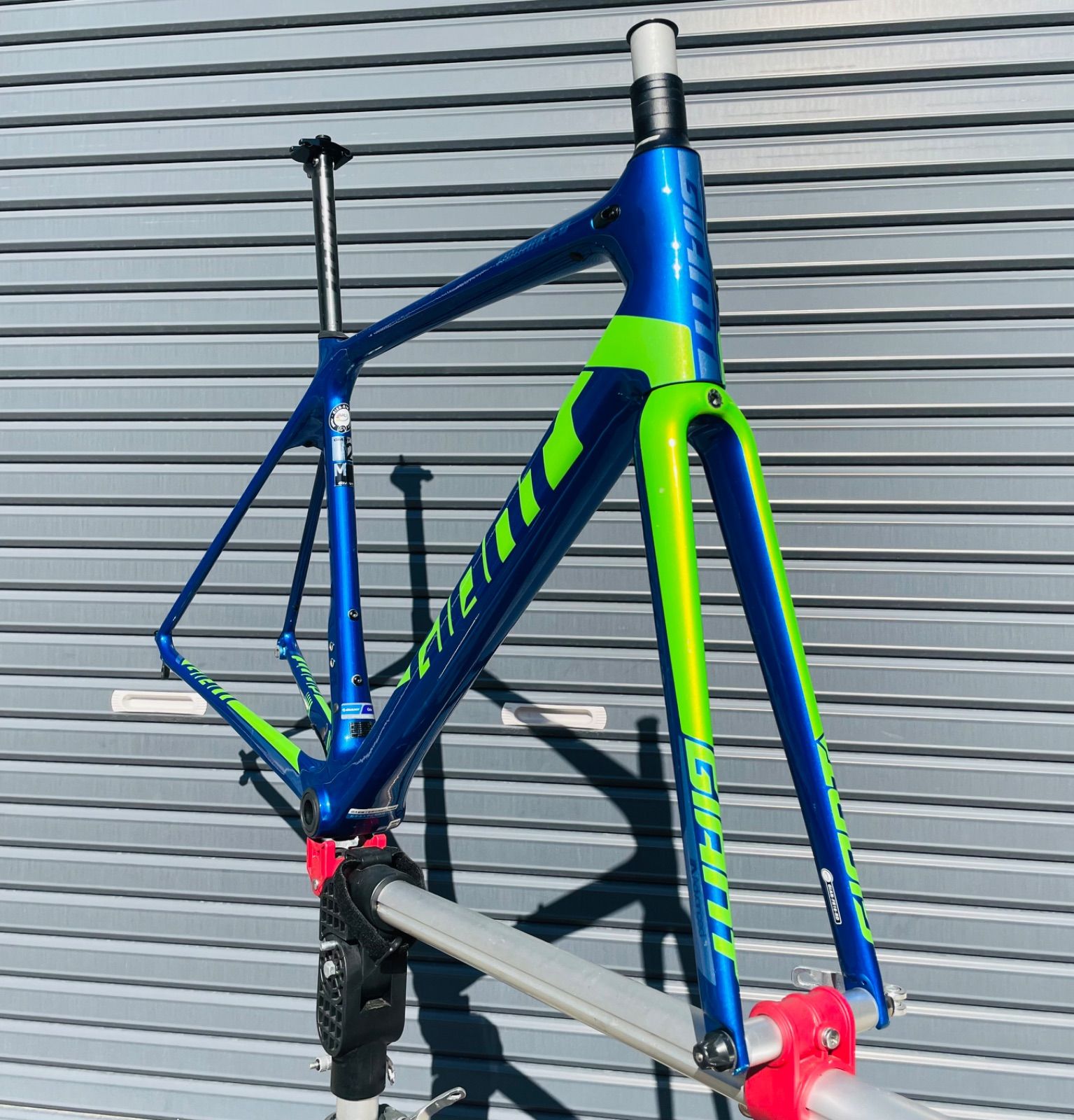 GIANT TCR ADVANCED 2 2019モデル カーボン ロードバイク フレーム 