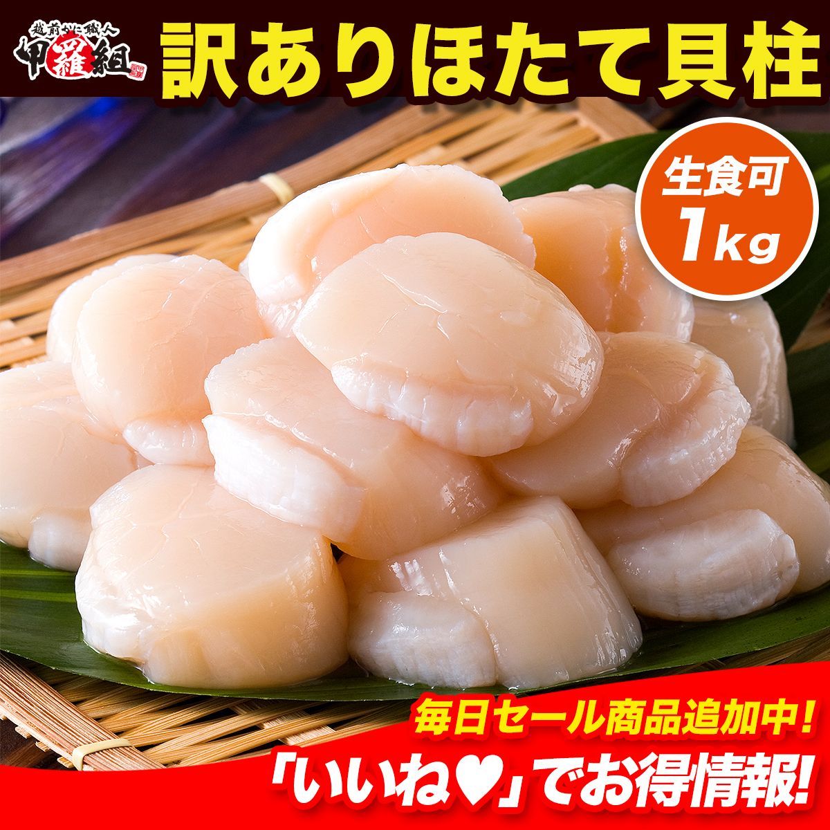 甲羅組 北海道オホーツク海の な 割れ|不揃い 生ほたて貝柱どっさり1kg