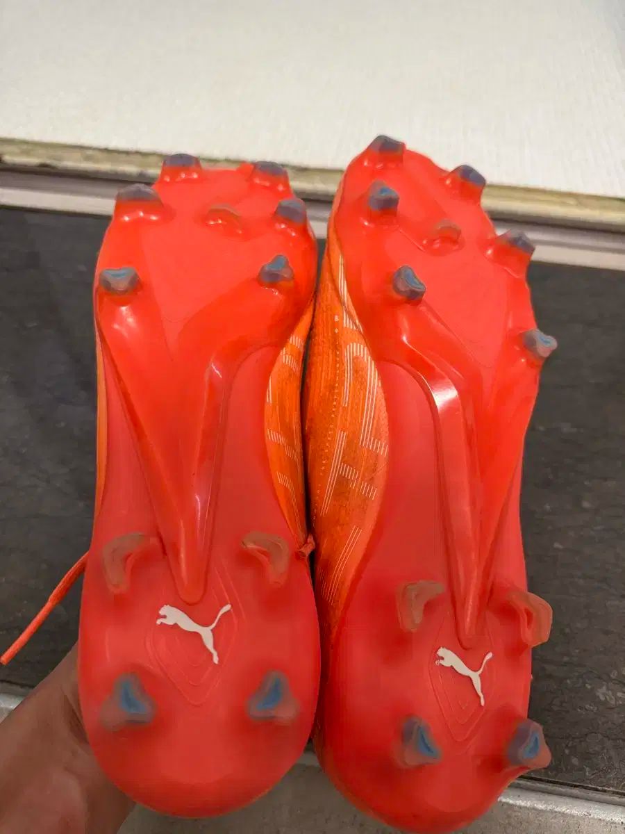 ウルトラ