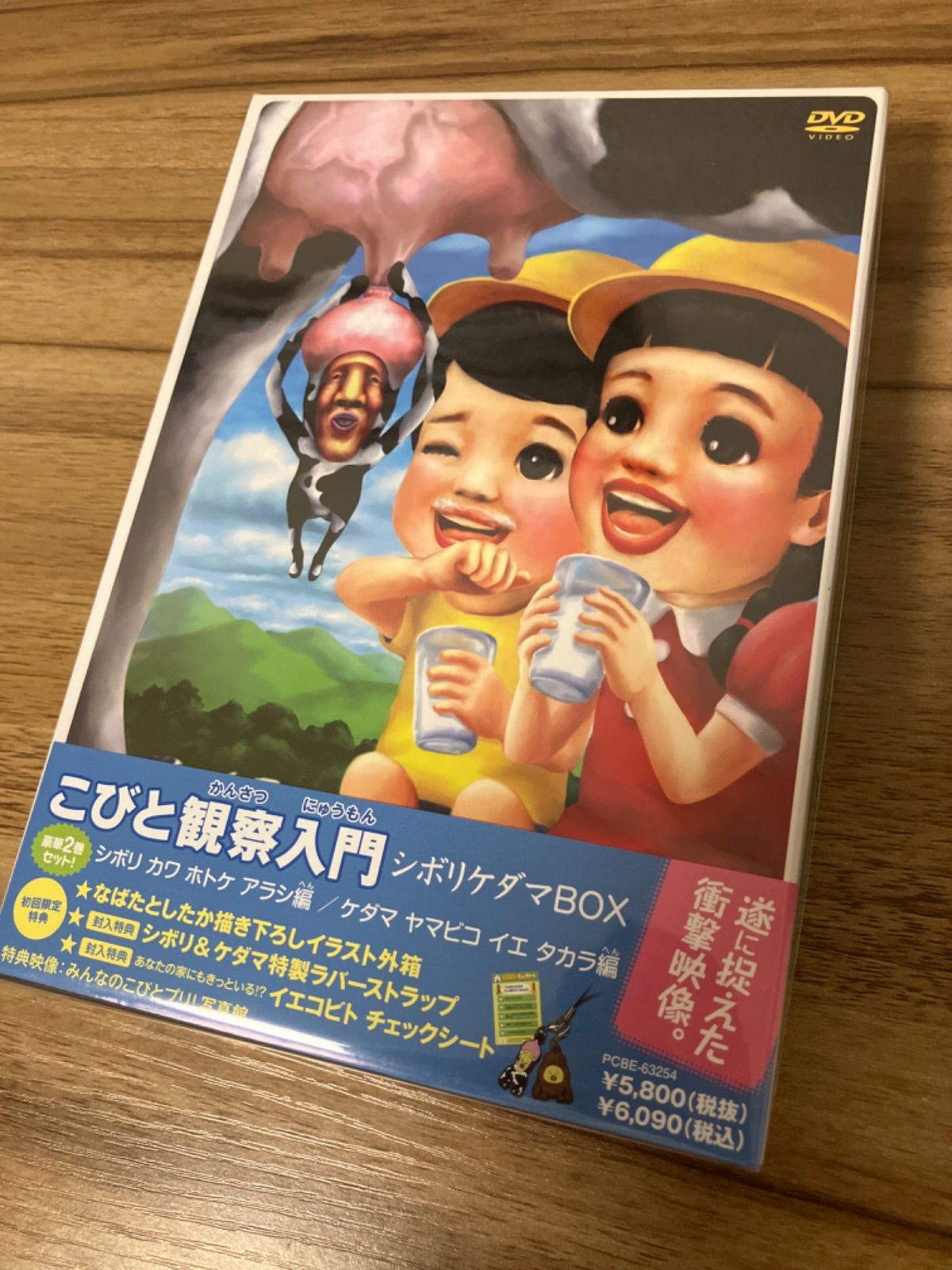 こびと観察入門 シボリケダマBOX【数量限定生産】 [初回限定盤] ＤＶＤ 