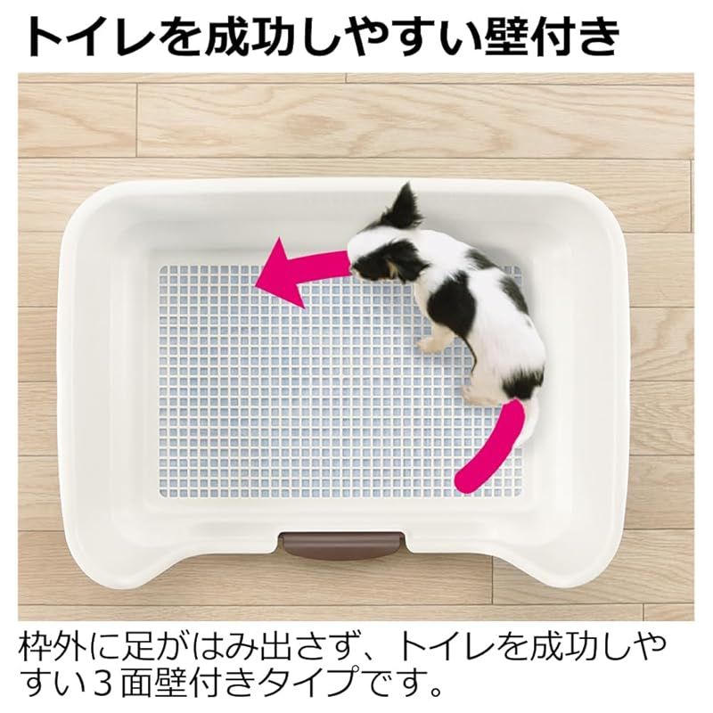 アイボリー