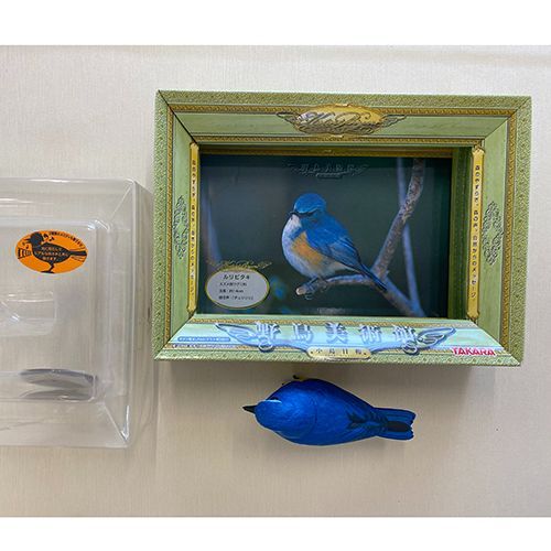 TAKARA】野鳥美術館 小鳥日和 ルリビタキ - メルカリ