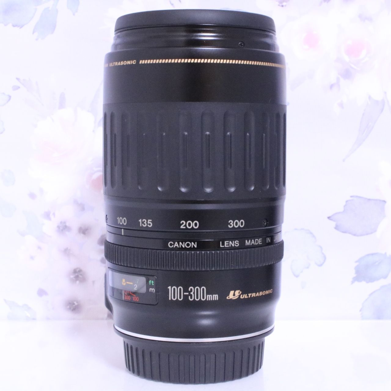 Canon キヤノン EFレンズ 100-300mm F4.5-5.6 USM☆イベントやスポーツ 