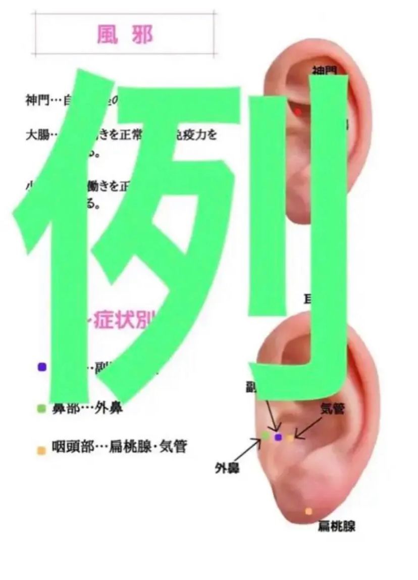 耳つぼジュエリープロ講座 - メルカリ