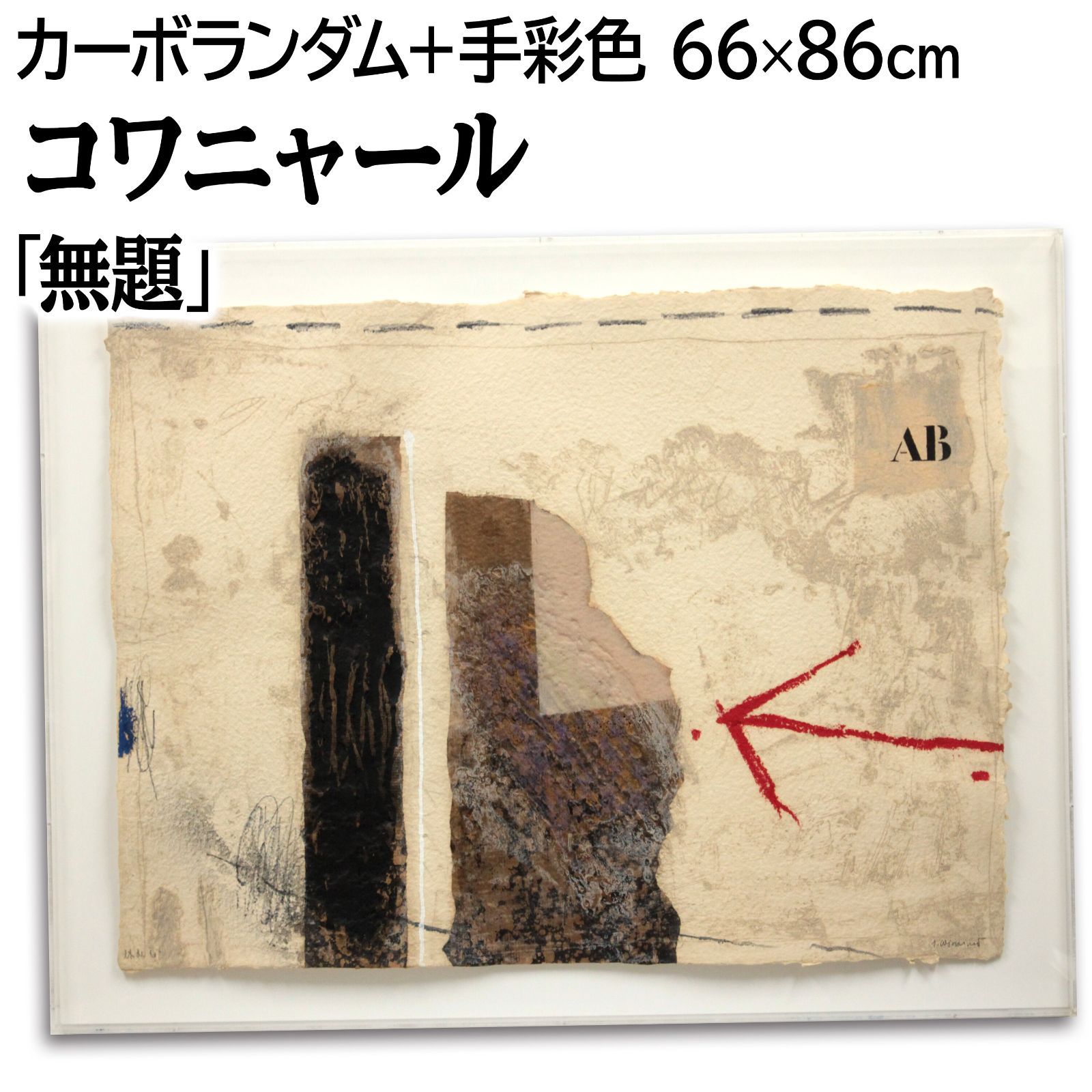 希少！ジェームス・コワニャール　James COIGNARD 画集　フランス版 希少！ジェームス・コワニャール James COIGNARD 画集 フランス