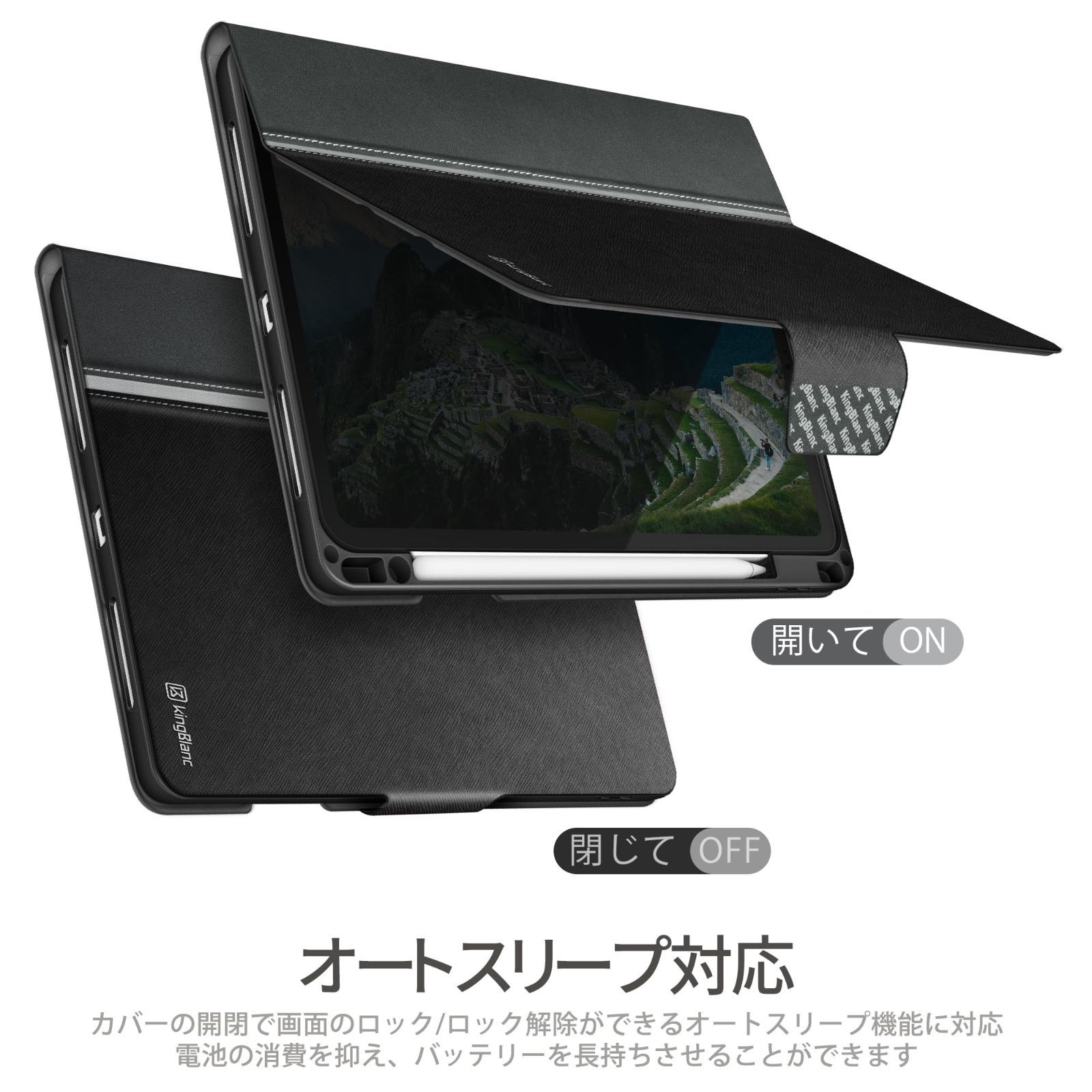 KingBlanc iPad