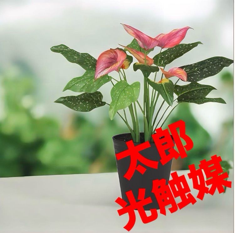 光触媒　人工観葉植物　ウォールグリーン　フェイクグリーン　東北カラー55 光触媒 人工観葉植物 ウォールグリーン フェイクグリーン 東北カラー55