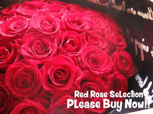 赤バラ プリザーブドフラワー 花束 赤バラ20本使用 プリザーブドフラワー 花束 枯れずにいつまでもキレイな赤バラ ◆誕生日プレゼント 成人祝い 記念日の贈り物におすすめのフラワーギフト STEELWINDOWSANDDOORS_COM