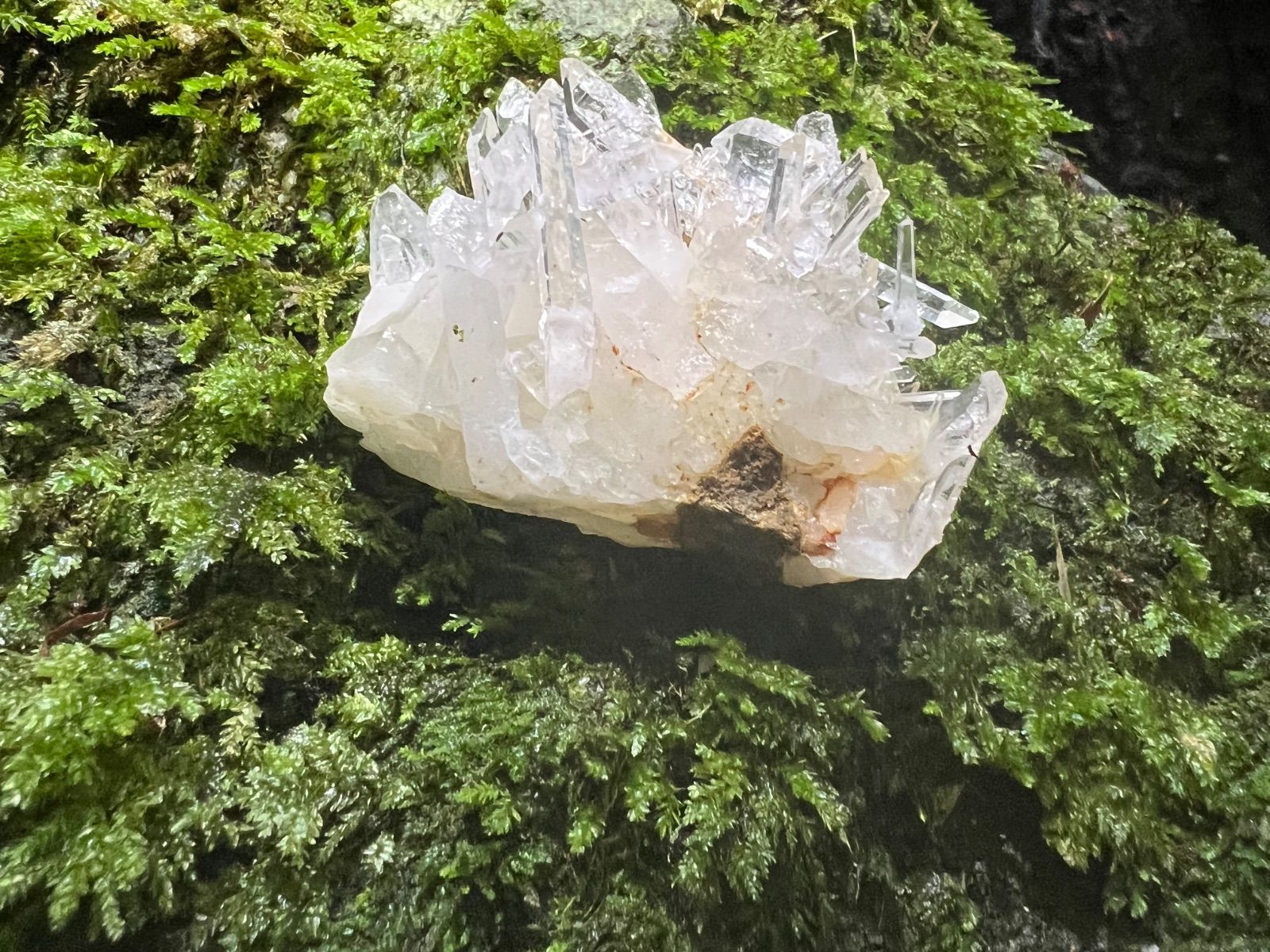 龍脈の精髄 ― 水晶クラスター 「光を宿す透明なる守護」 宮崎県