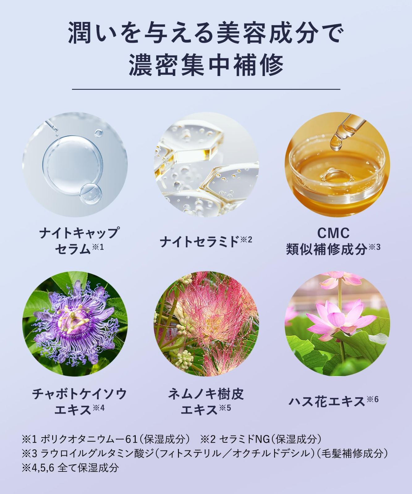 カームナイトリペア