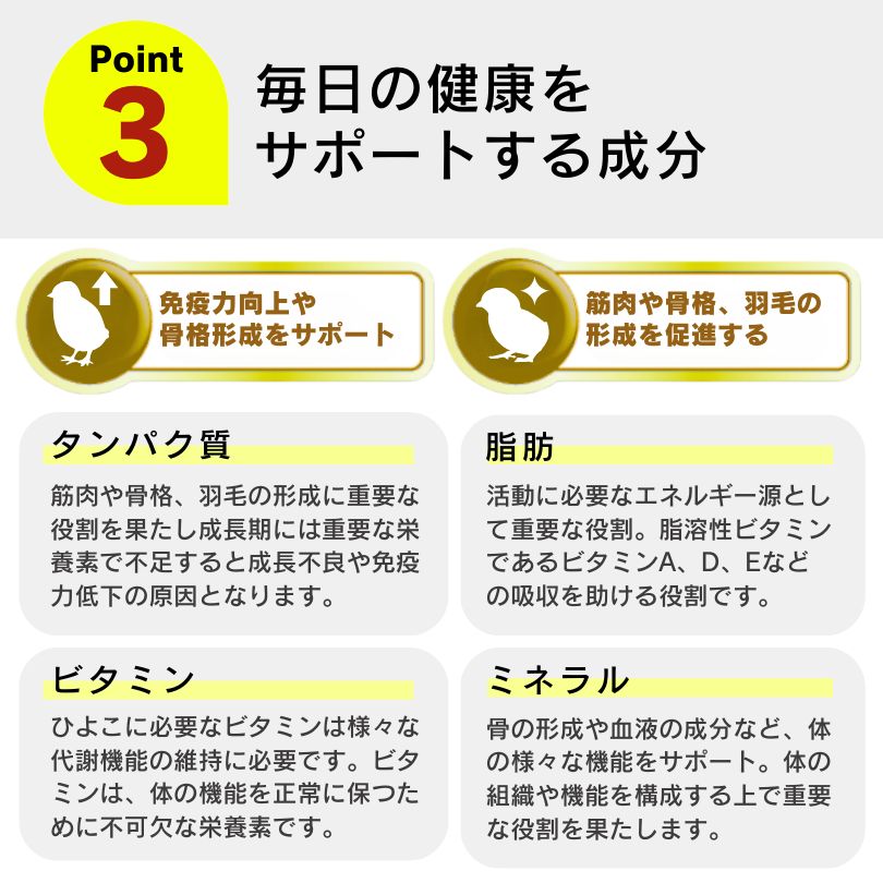 大容量