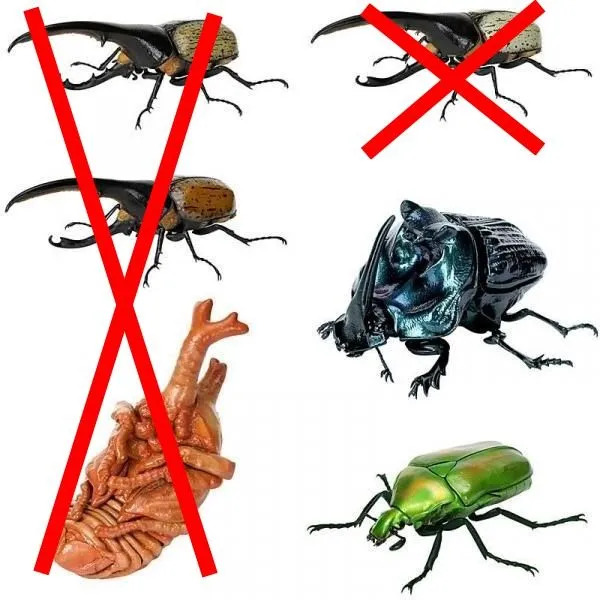 2025年最新】ランキフェルオオニジダイコクの人気アイテム - メルカリ