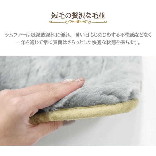短毛タイプ 40×40cm
