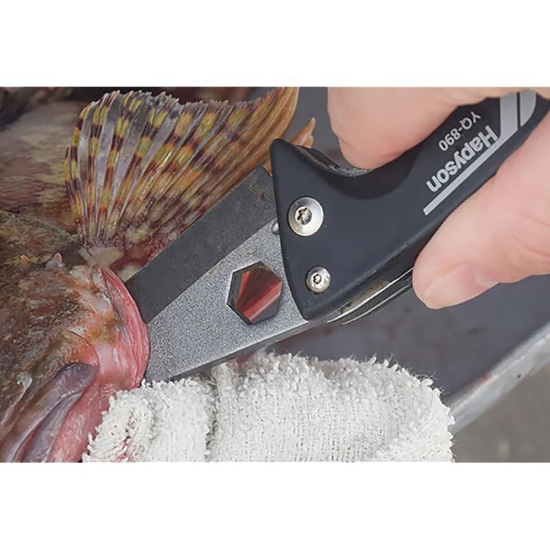 Ｈａｐｙｓｏｎ ハピソン