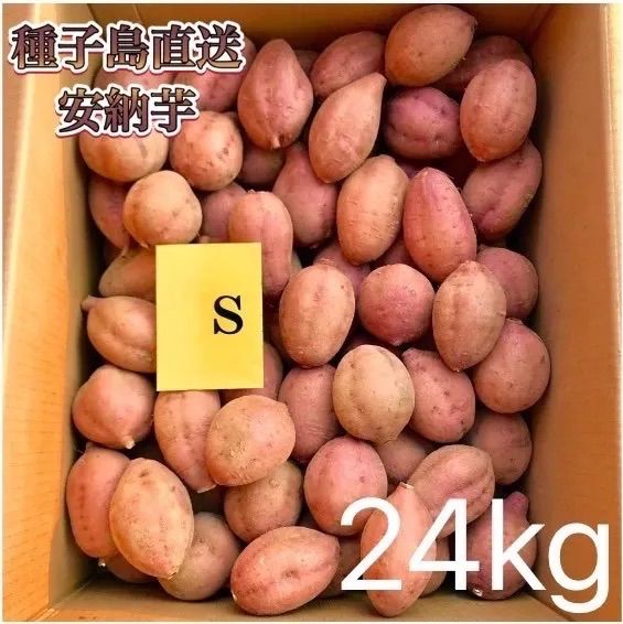 絶品】種子島産 安納芋S 24kg(箱別) | www.piazzagrande.it