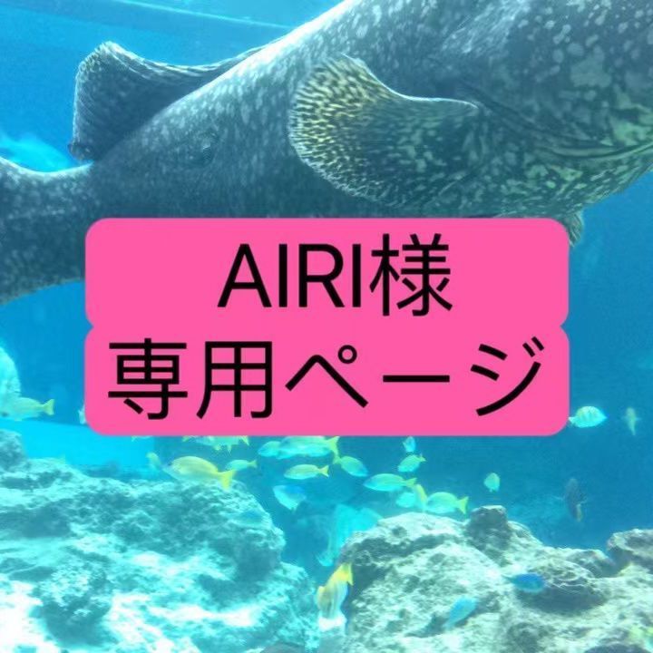 AIRI様 専用ページ - メルカリ