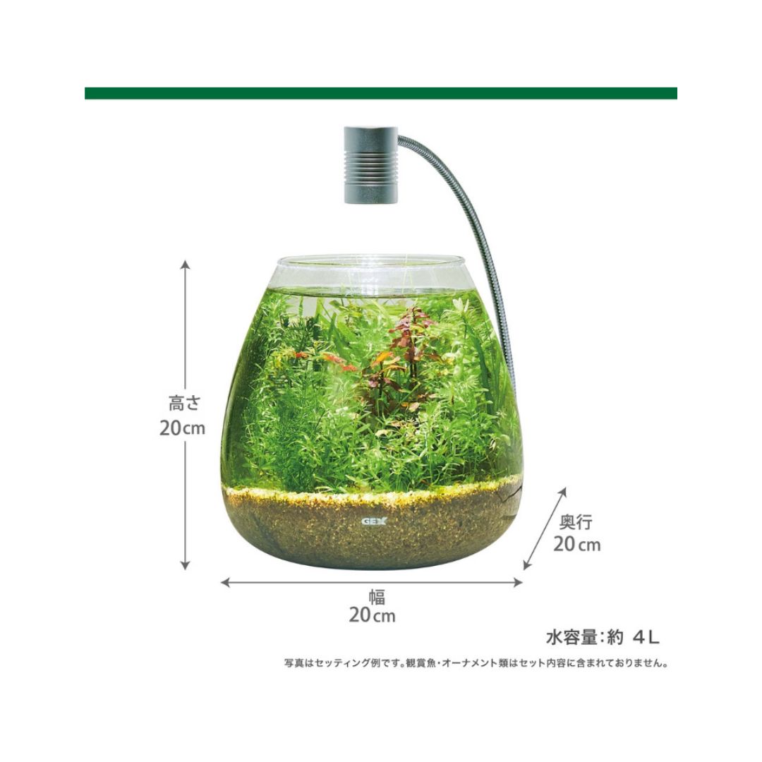 MeGreen
